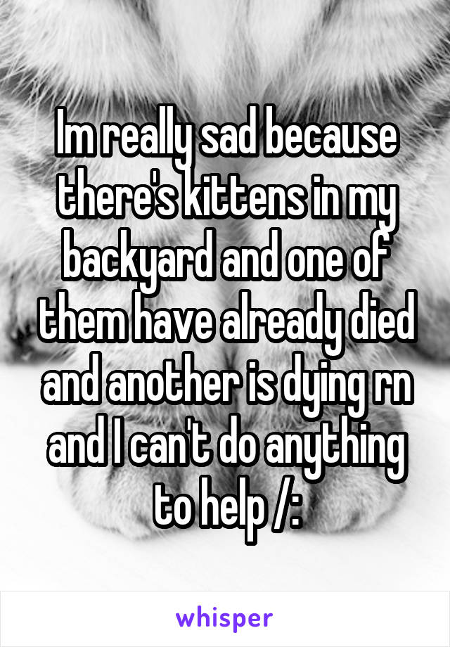 Im really sad because there's kittens in my backyard and one of them have already died and another is dying rn and I can't do anything to help /: