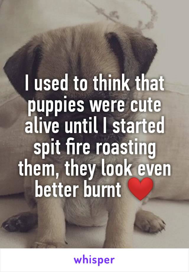 I used to think that puppies were cute alive until I started spit fire roasting them, they look even better burnt ❤️