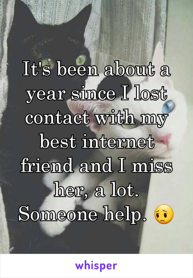 It's been about a year since I lost contact with my best internet friend and I miss her, a lot. Someone help. 😔