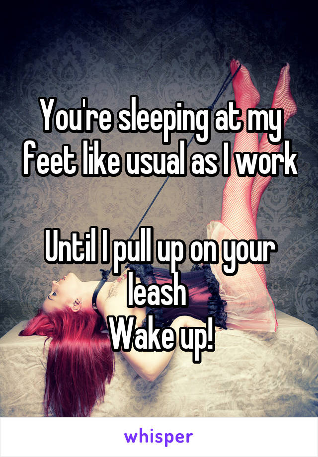 You're sleeping at my feet like usual as I work 
Until I pull up on your leash 
Wake up!