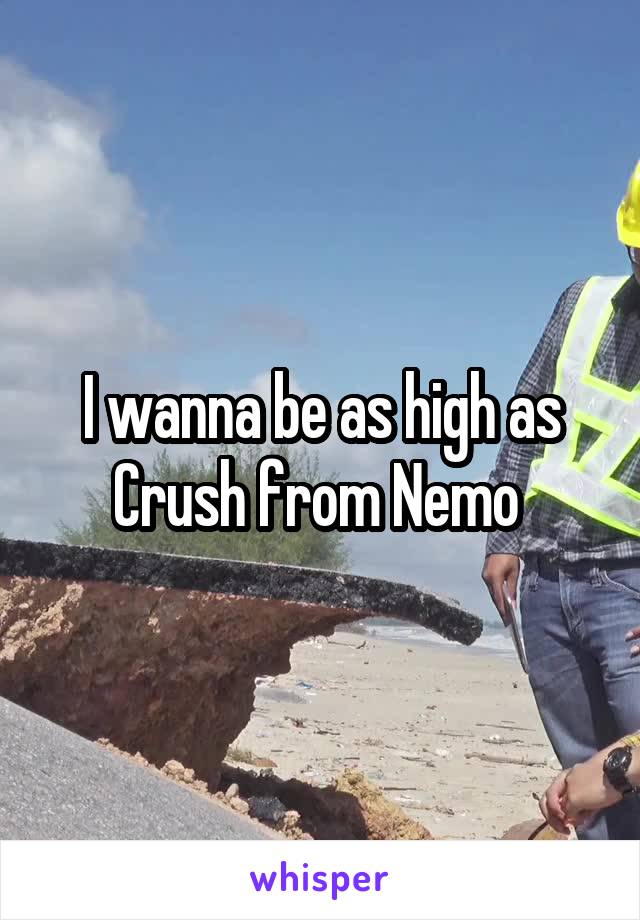 I wanna be as high as Crush from Nemo 