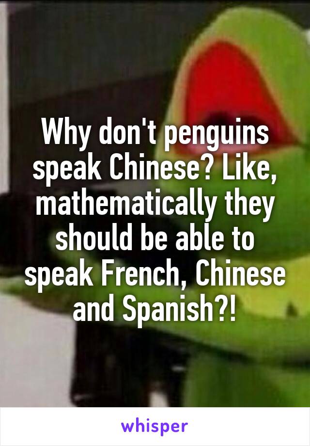 Why don't penguins speak Chinese? Like, mathematically they should be able to speak French, Chinese and Spanish?!