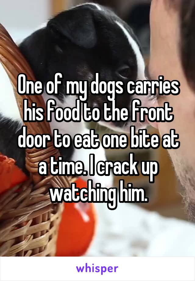 One of my dogs carries his food to the front door to eat one bite at a time. I crack up watching him.