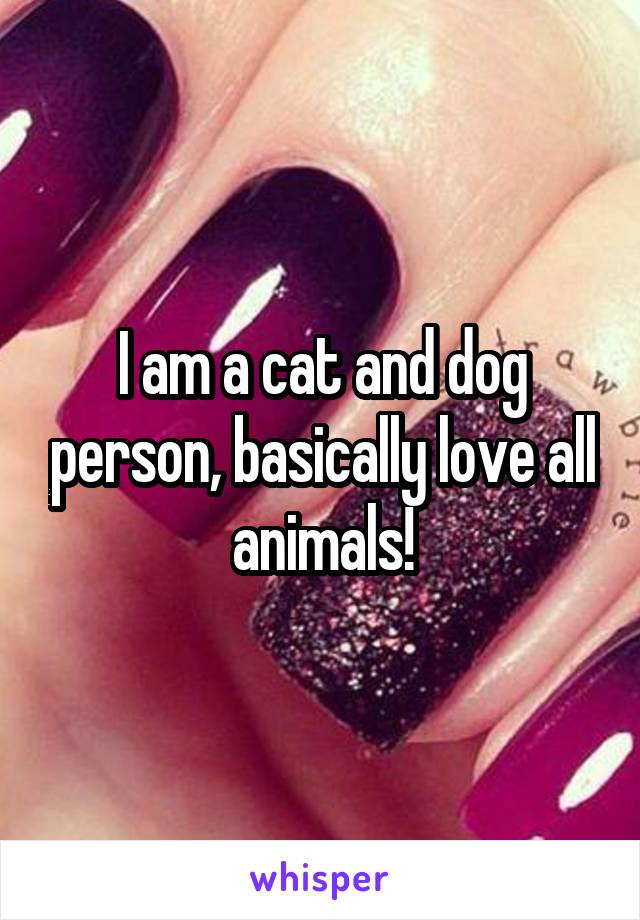 I am a cat and dog person, basically love all animals!