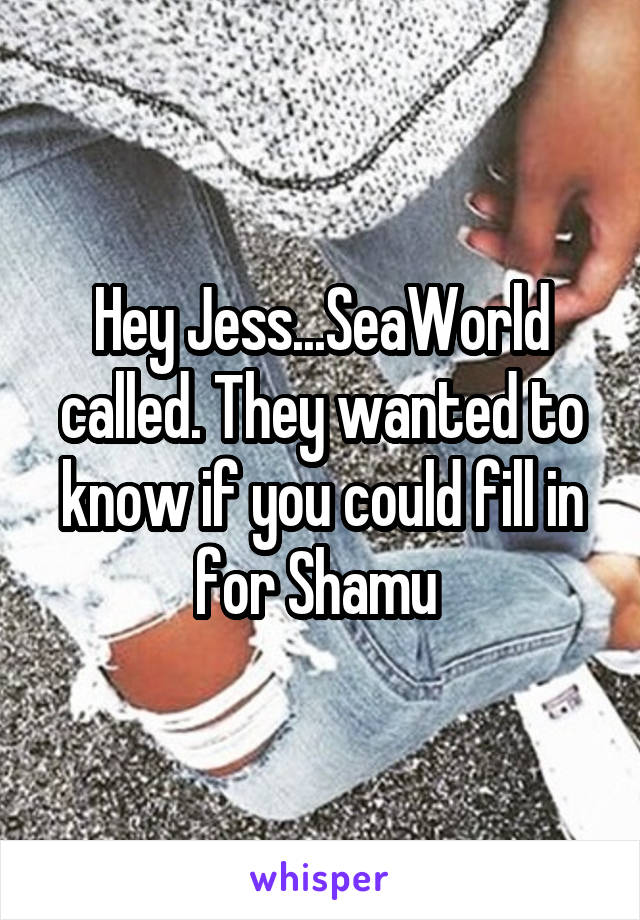 Hey Jess...SeaWorld called. They wanted to know if you could fill in for Shamu 