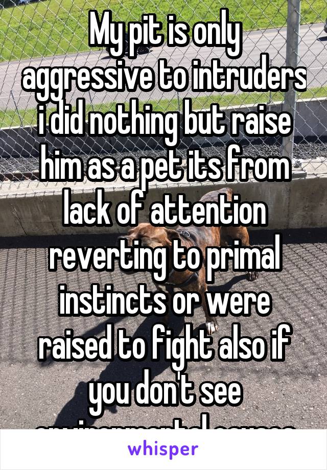 My pit is only aggressive to intruders i did nothing but raise him as a pet its from lack of attention reverting to primal instincts or were raised to fight also if you don't see environmental causes