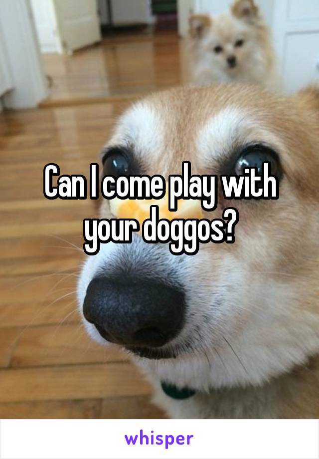 Can I come play with your doggos?

