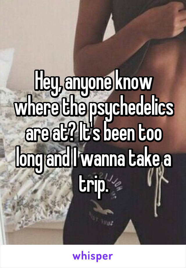 Hey, anyone know where the psychedelics are at? It's been too long and I wanna take a trip.
