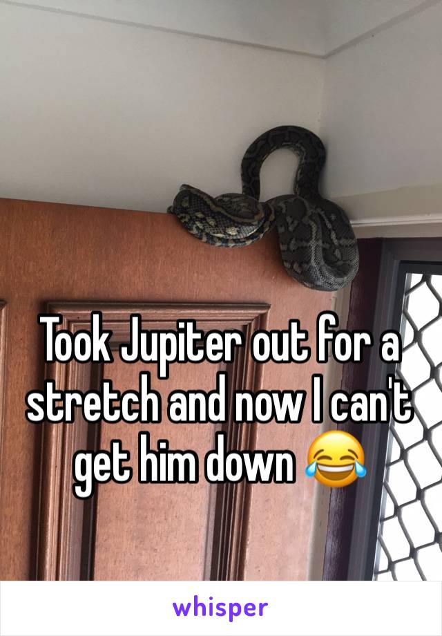 Took Jupiter out for a stretch and now I can't get him down 😂