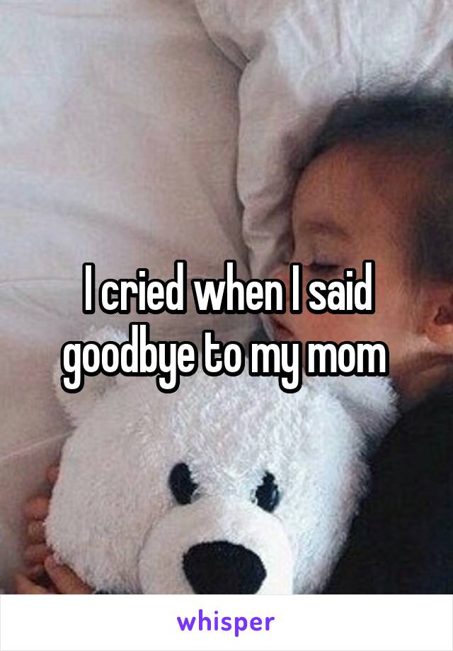 I cried when I said goodbye to my mom 