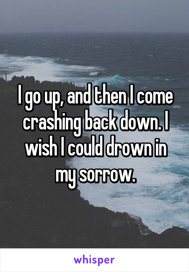 I go up, and then I come crashing back down. I wish I could drown in my sorrow.