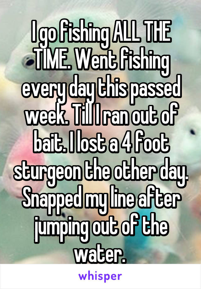 I go fishing ALL THE TIME. Went fishing every day this passed week. Till I ran out of bait. I lost a 4 foot sturgeon the other day. Snapped my line after jumping out of the water. 