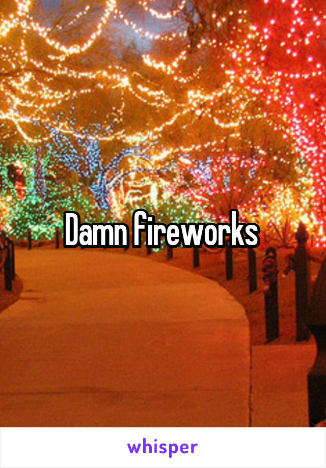 Damn fireworks 