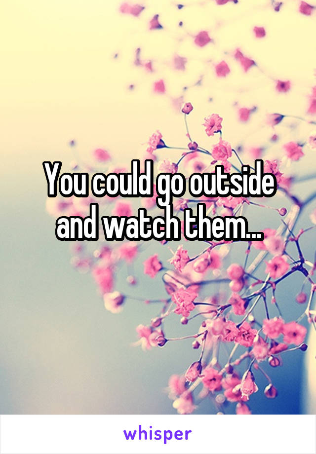You could go outside and watch them...
