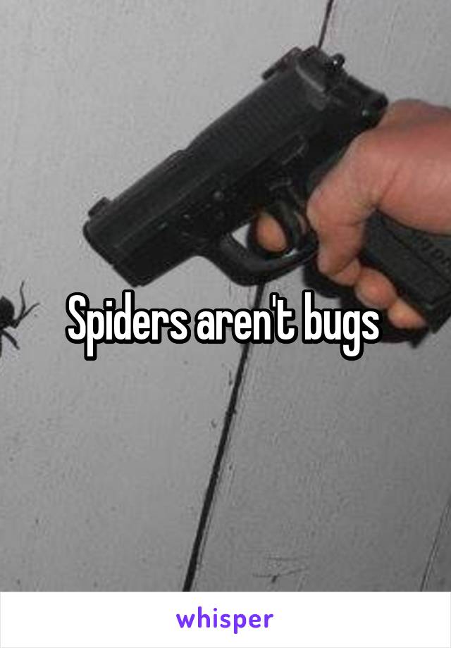 Spiders aren't bugs 