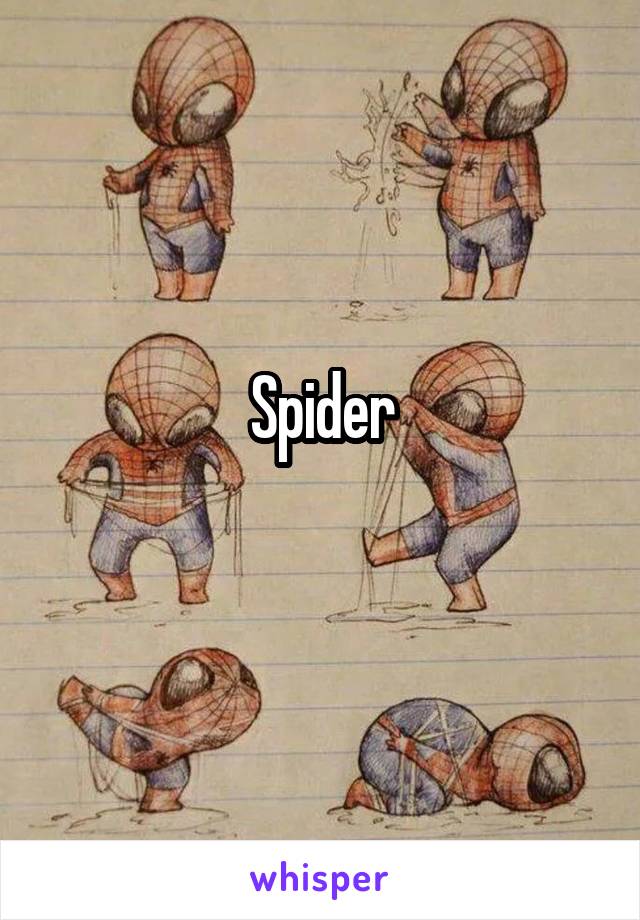 Spider
