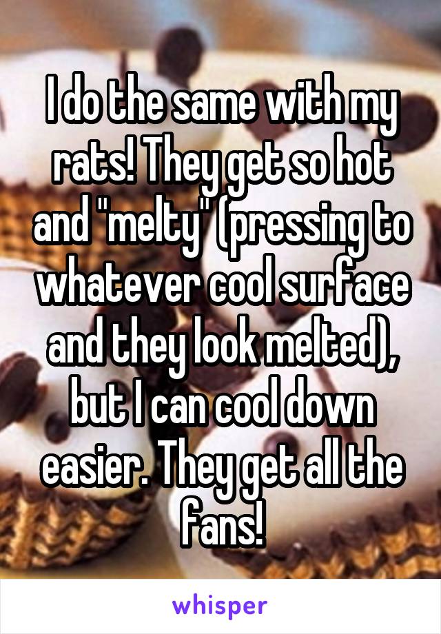I do the same with my rats! They get so hot and "melty" (pressing to whatever cool surface and they look melted), but I can cool down easier. They get all the fans!