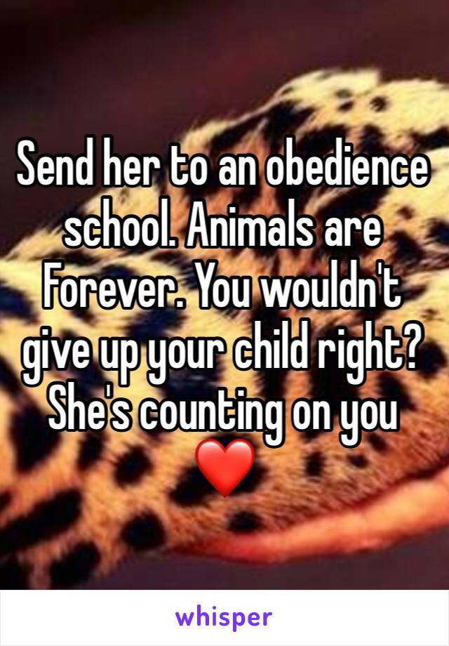 Send her to an obedience school. Animals are 
Forever. You wouldn't give up your child right? She's counting on you ❤️