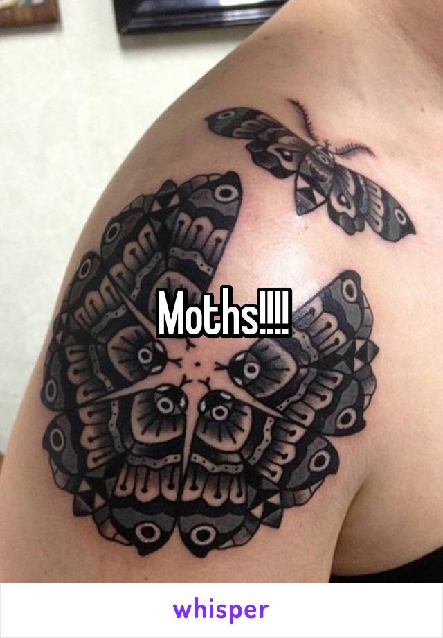 Moths!!!!