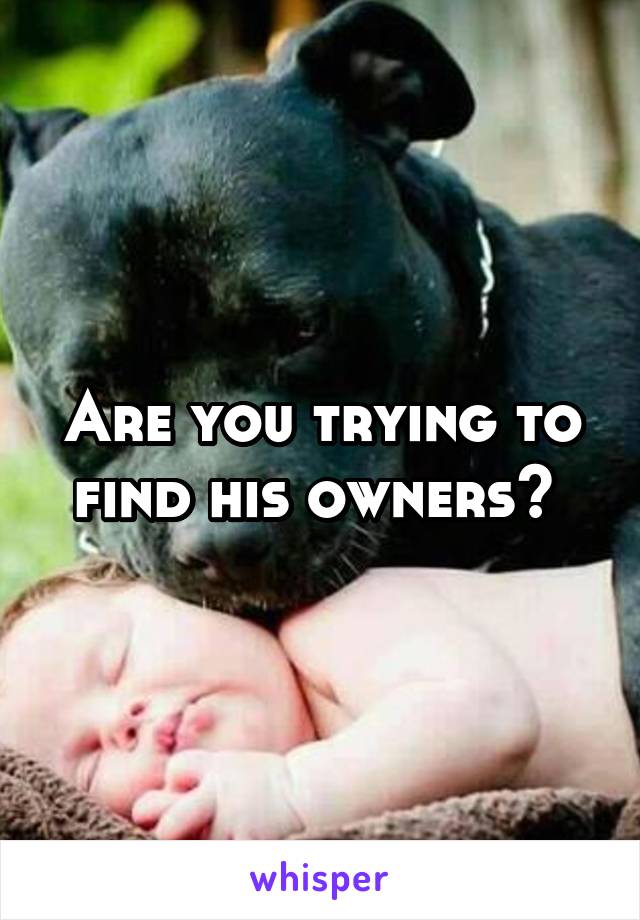 Are you trying to find his owners? 