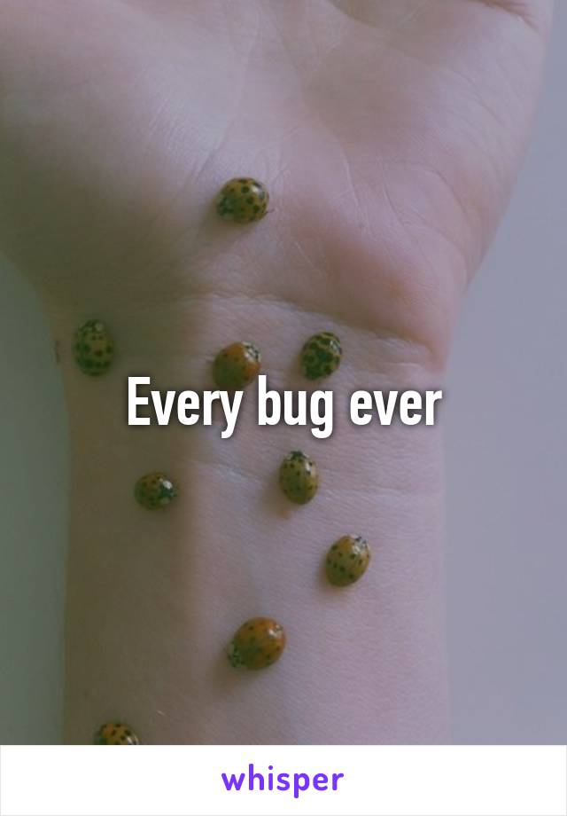 Every bug ever