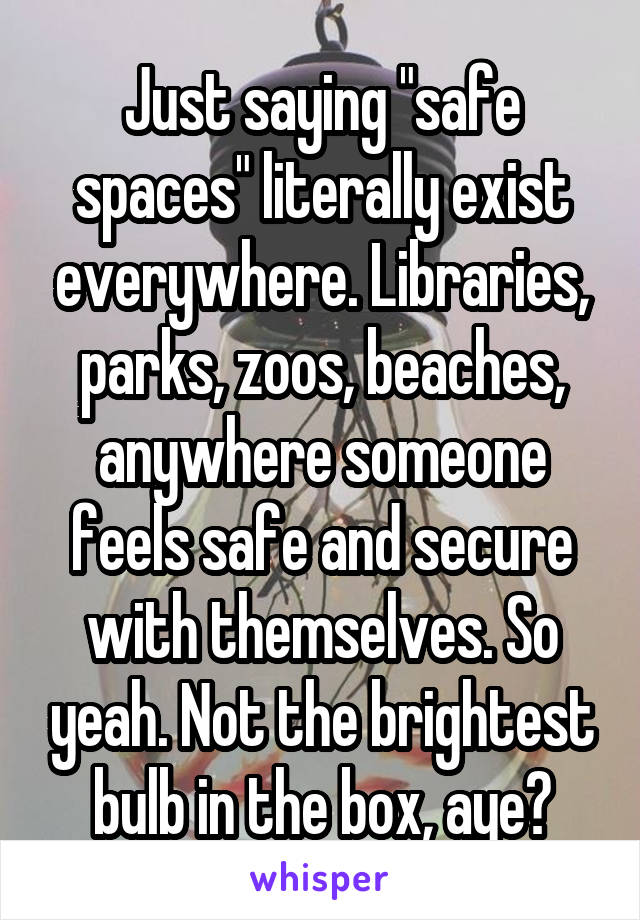 Just saying "safe spaces" literally exist everywhere. Libraries, parks, zoos, beaches, anywhere someone feels safe and secure with themselves. So yeah. Not the brightest bulb in the box, aye?