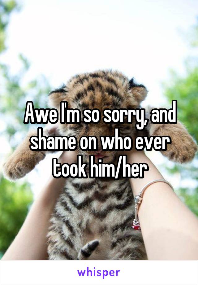 Awe I'm so sorry, and shame on who ever took him/her