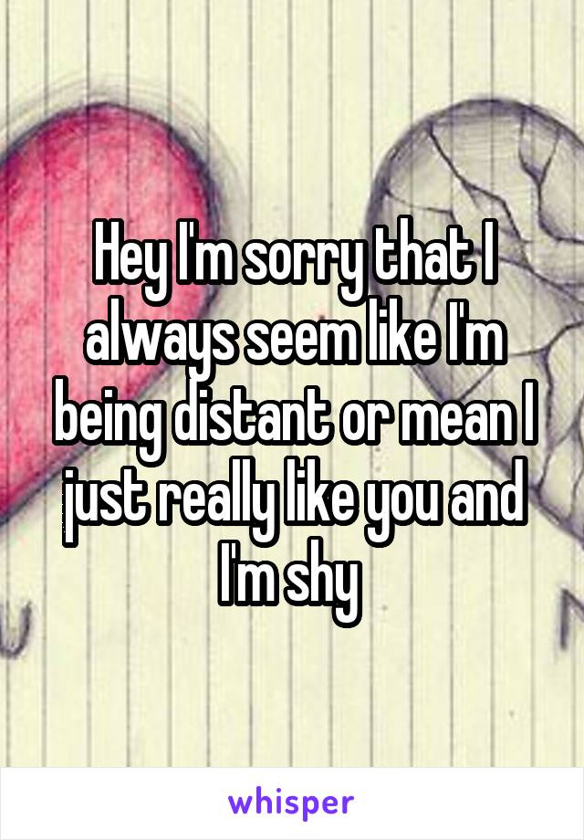 Hey I'm sorry that I always seem like I'm being distant or mean I just really like you and I'm shy 