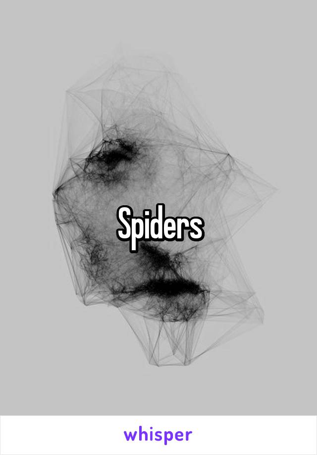 Spiders