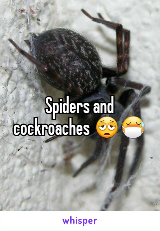 Spiders and cockroaches 😩😷