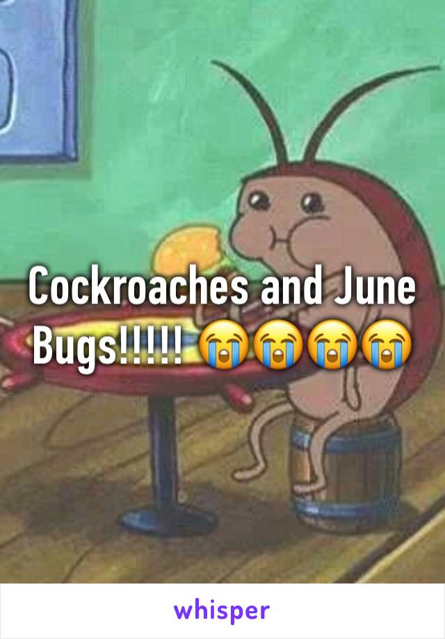 Cockroaches and June Bugs!!!!! 😭😭😭😭