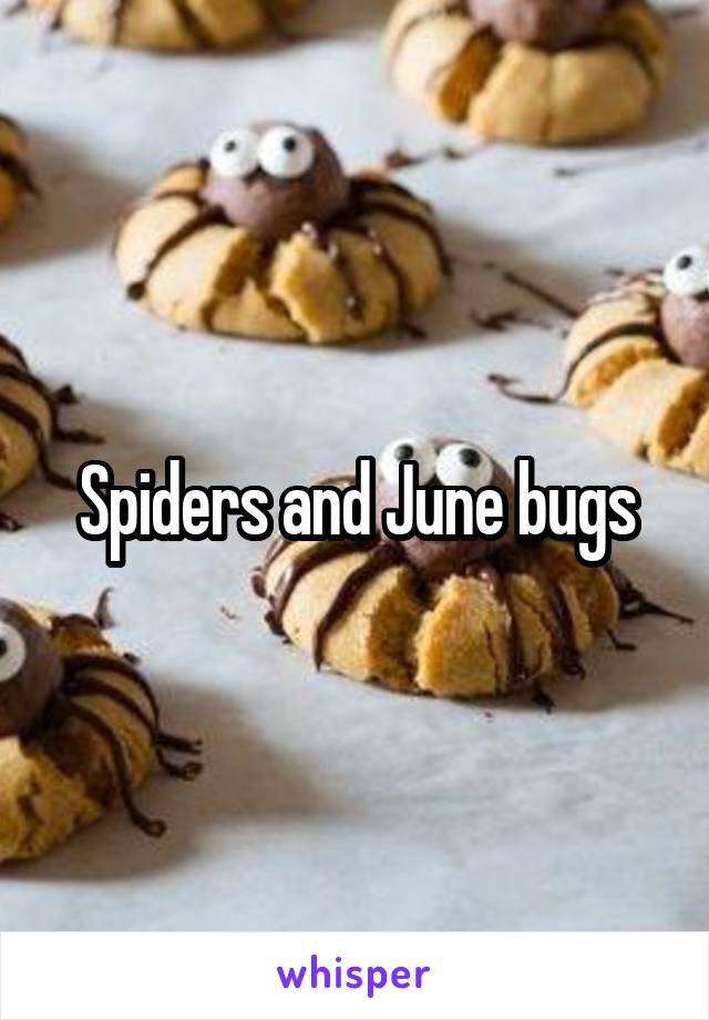 Spiders and June bugs