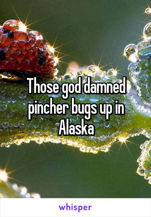 Those god damned pincher bugs up in Alaska