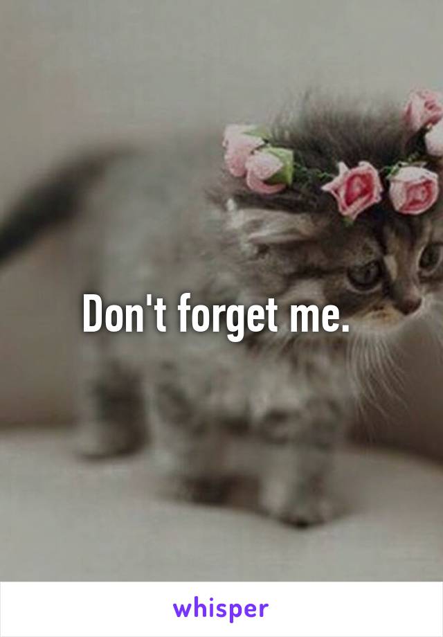 Don't forget me. 
