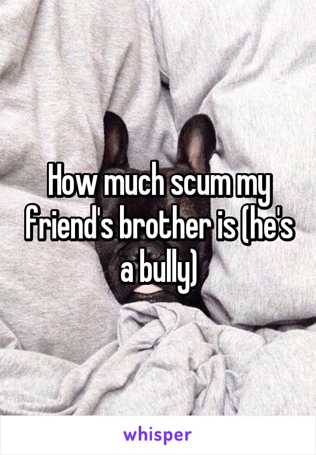 How much scum my friend's brother is (he's a bully)