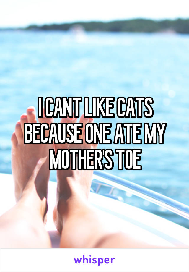 I CANT LIKE CATS BECAUSE ONE ATE MY MOTHER'S TOE