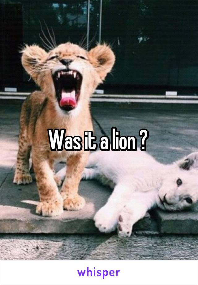 Was it a lion ? 