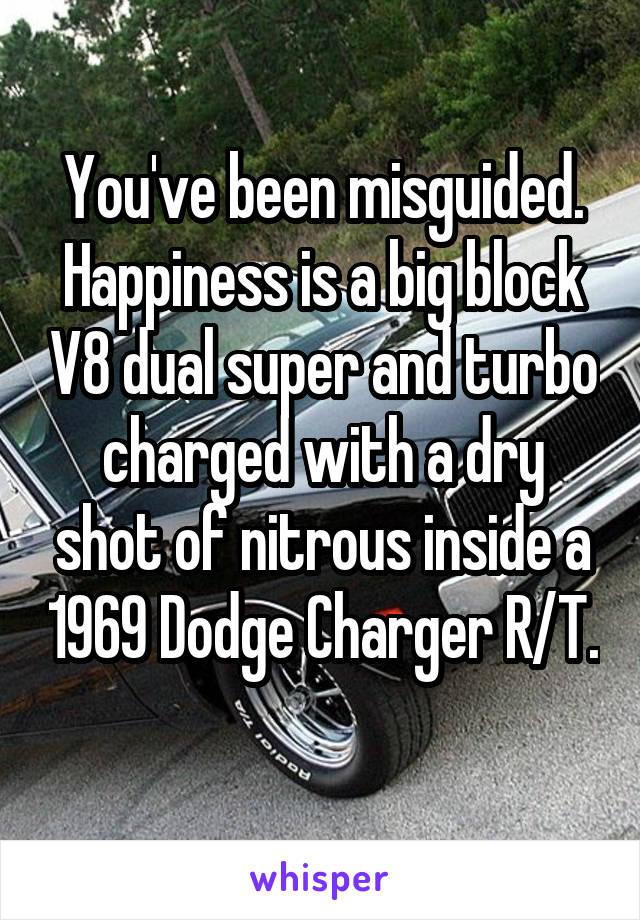 You've been misguided. Happiness is a big block V8 dual super and turbo charged with a dry shot of nitrous inside a 1969 Dodge Charger R/T. 