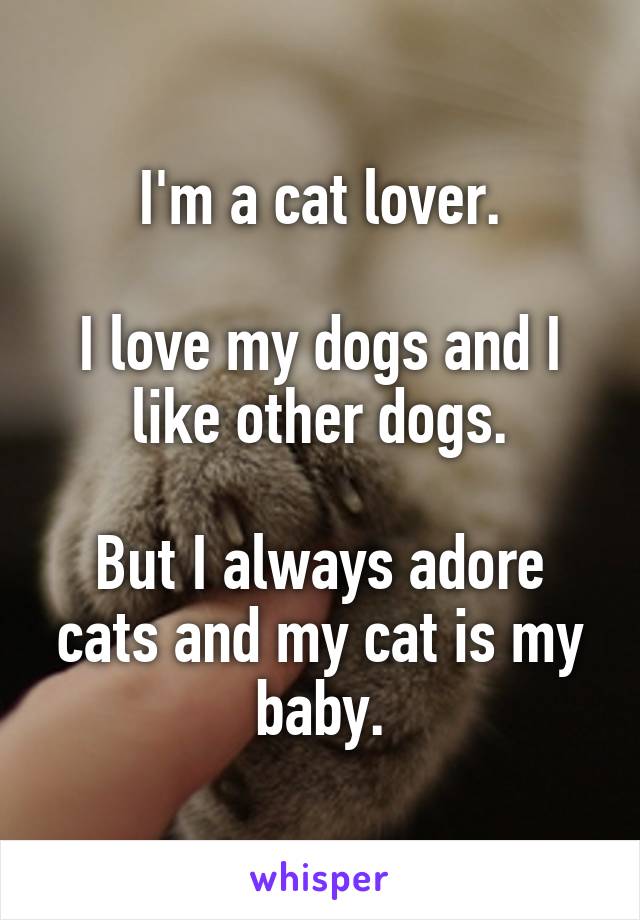I'm a cat lover.

I love my dogs and I like other dogs.

But I always adore cats and my cat is my baby.