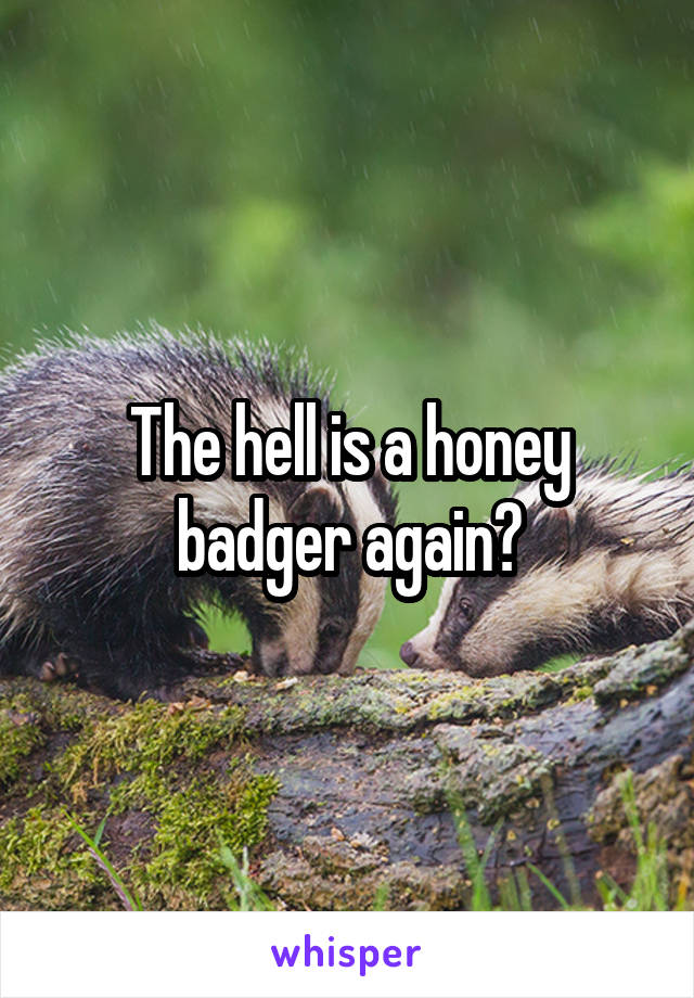 The hell is a honey badger again?