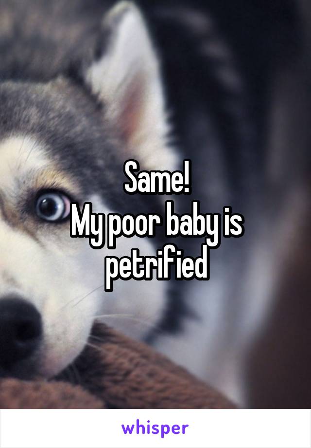 Same!
My poor baby is petrified