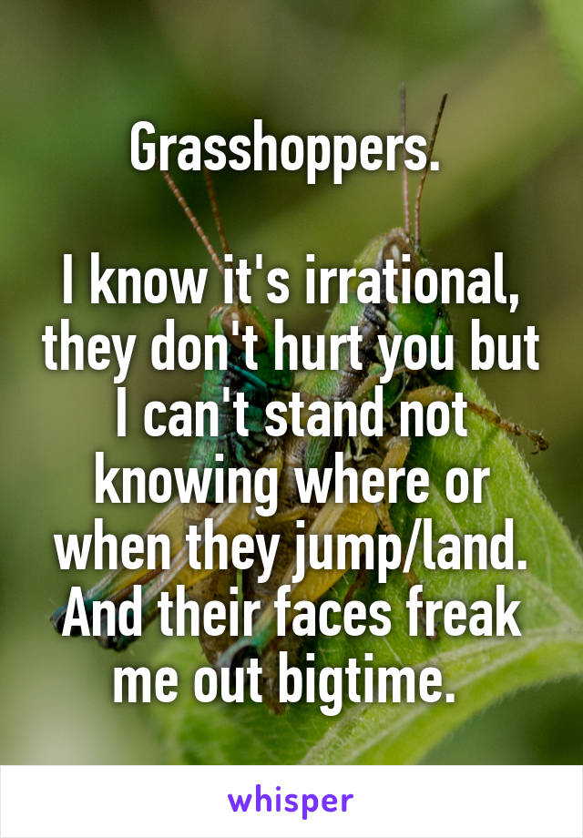 Grasshoppers. 

I know it's irrational, they don't hurt you but I can't stand not knowing where or when they jump/land. And their faces freak me out bigtime. 