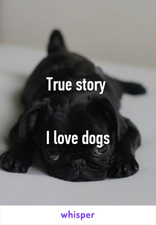 True story 


I love dogs