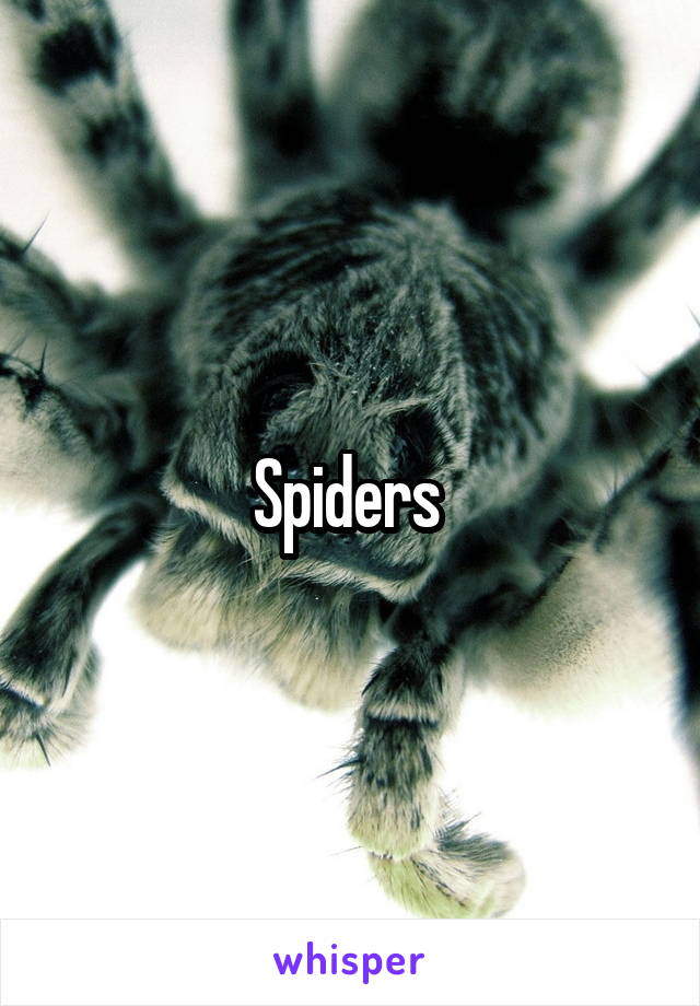 Spiders 