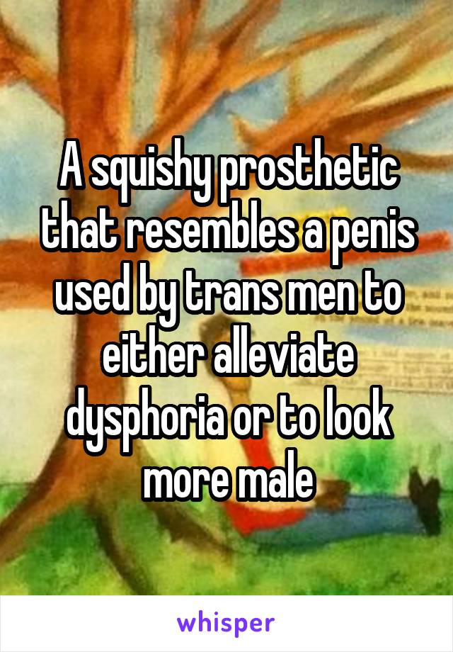 A squishy prosthetic that resembles a penis used by trans men to either alleviate dysphoria or to look more male