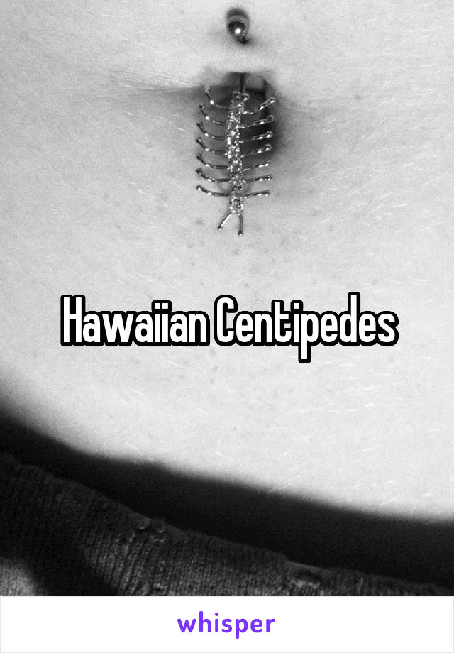 Hawaiian Centipedes