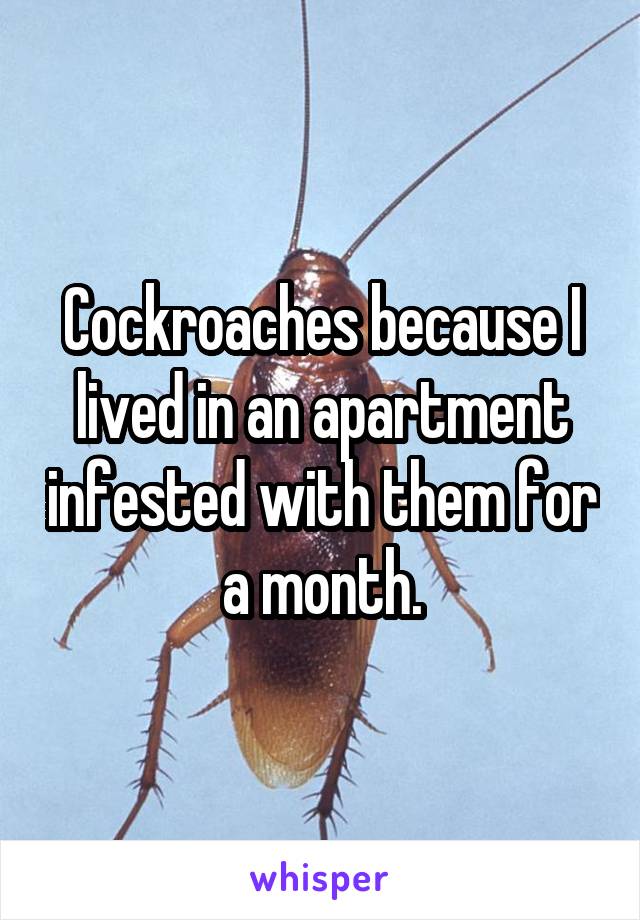 Cockroaches because I lived in an apartment infested with them for a month.
