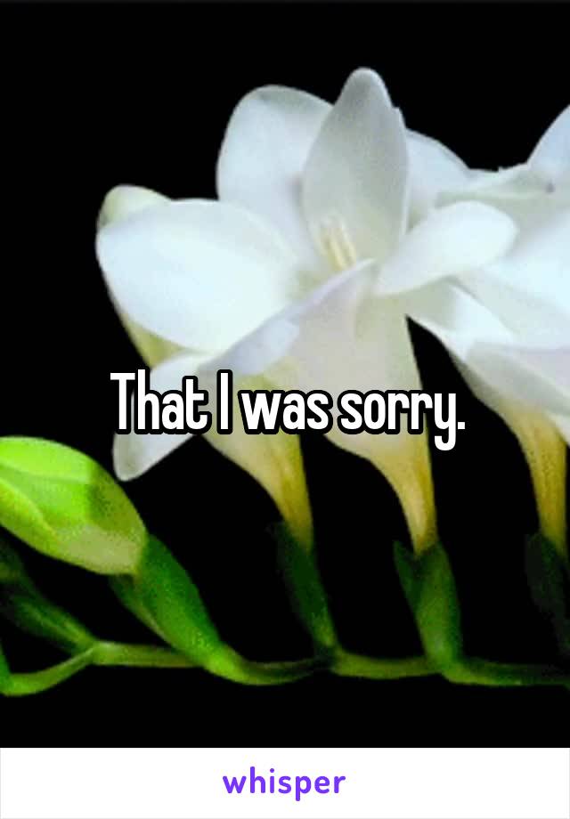 That I was sorry.