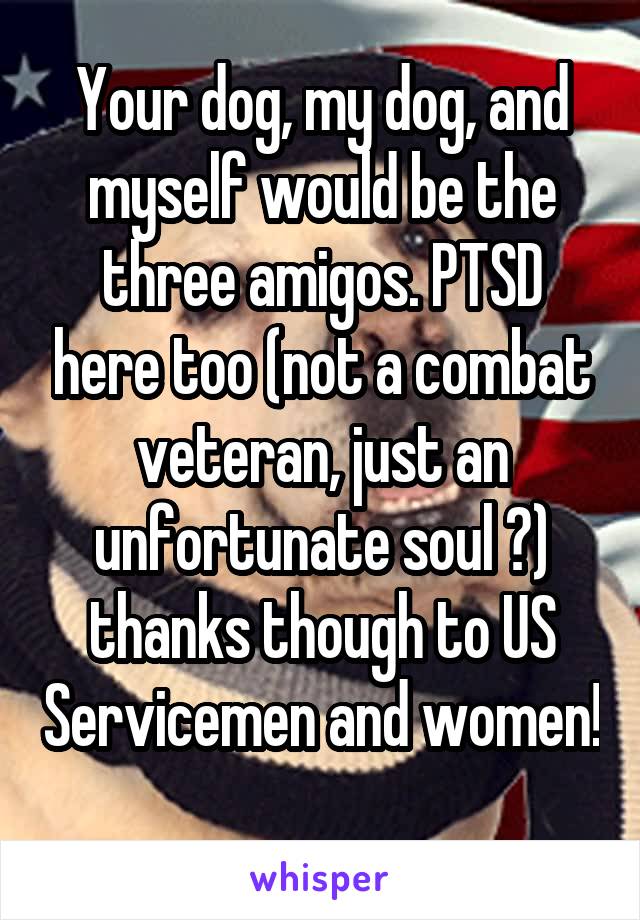 Your dog, my dog, and myself would be the three amigos. PTSD here too (not a combat veteran, just an unfortunate soul 😭) thanks though to US Servicemen and women! 