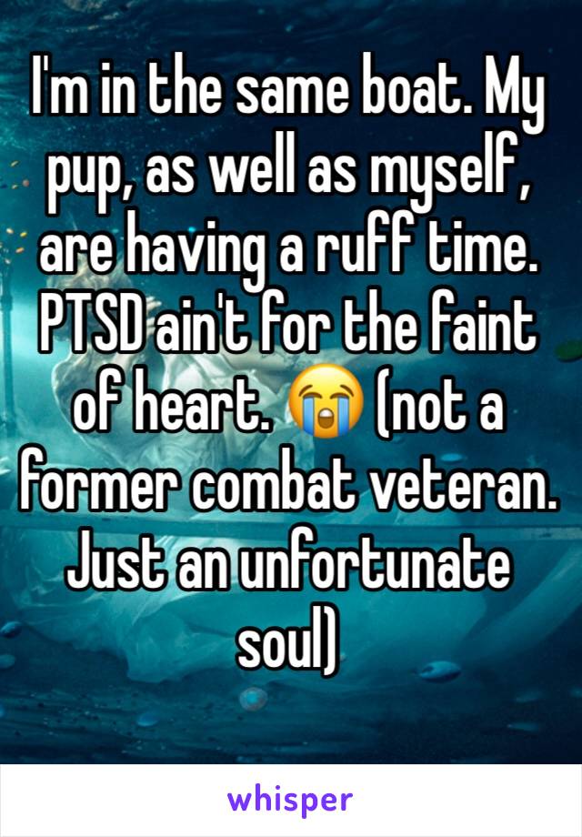 I'm in the same boat. My pup, as well as myself, are having a ruff time. PTSD ain't for the faint of heart. 😭 (not a former combat veteran. Just an unfortunate soul)